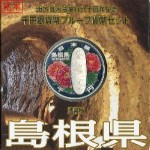 coin036